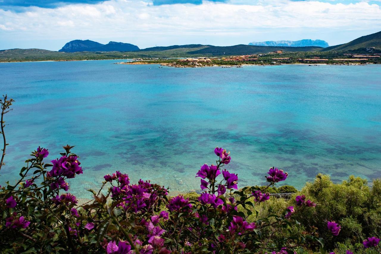 Apartament Casa Valery Wonderful Sea View Porto Rotondo Zewnętrze zdjęcie