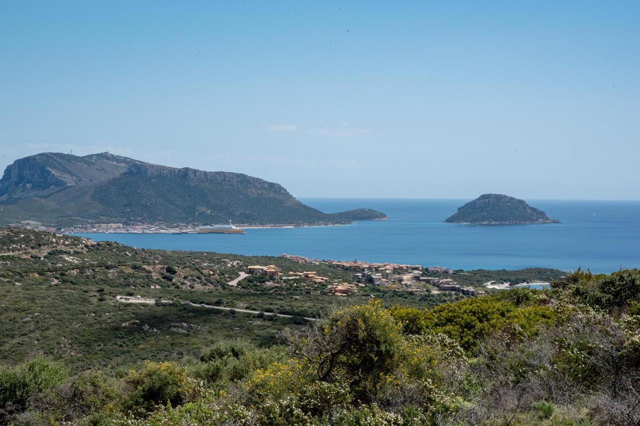 Apartament Casa Valery Wonderful Sea View Porto Rotondo Zewnętrze zdjęcie