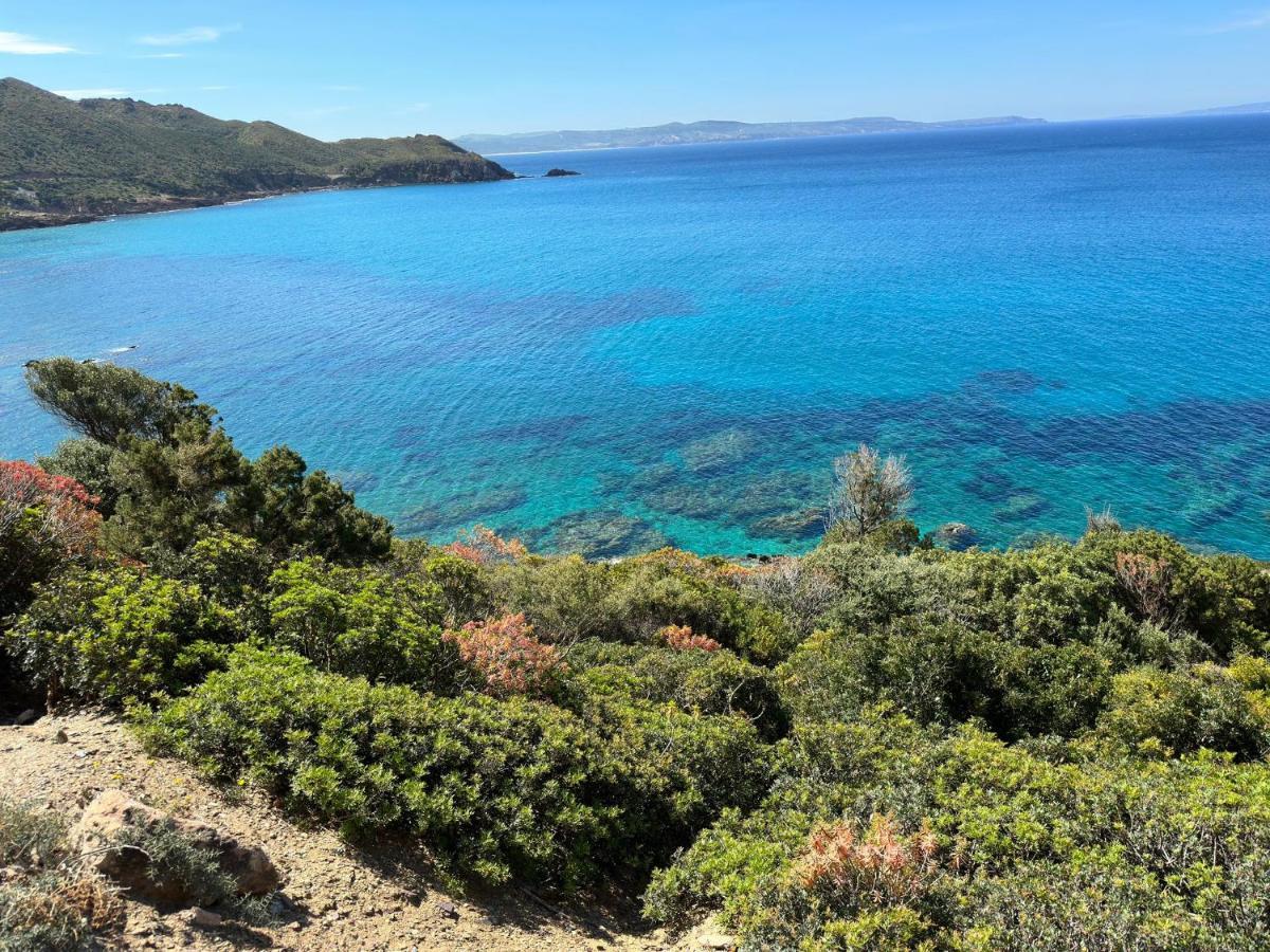 Apartament Casa Valery Wonderful Sea View Porto Rotondo Zewnętrze zdjęcie