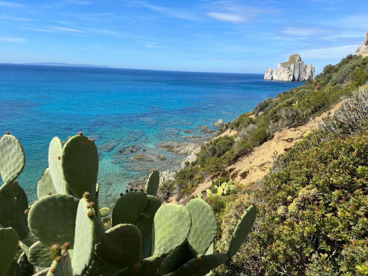Apartament Casa Valery Wonderful Sea View Porto Rotondo Zewnętrze zdjęcie