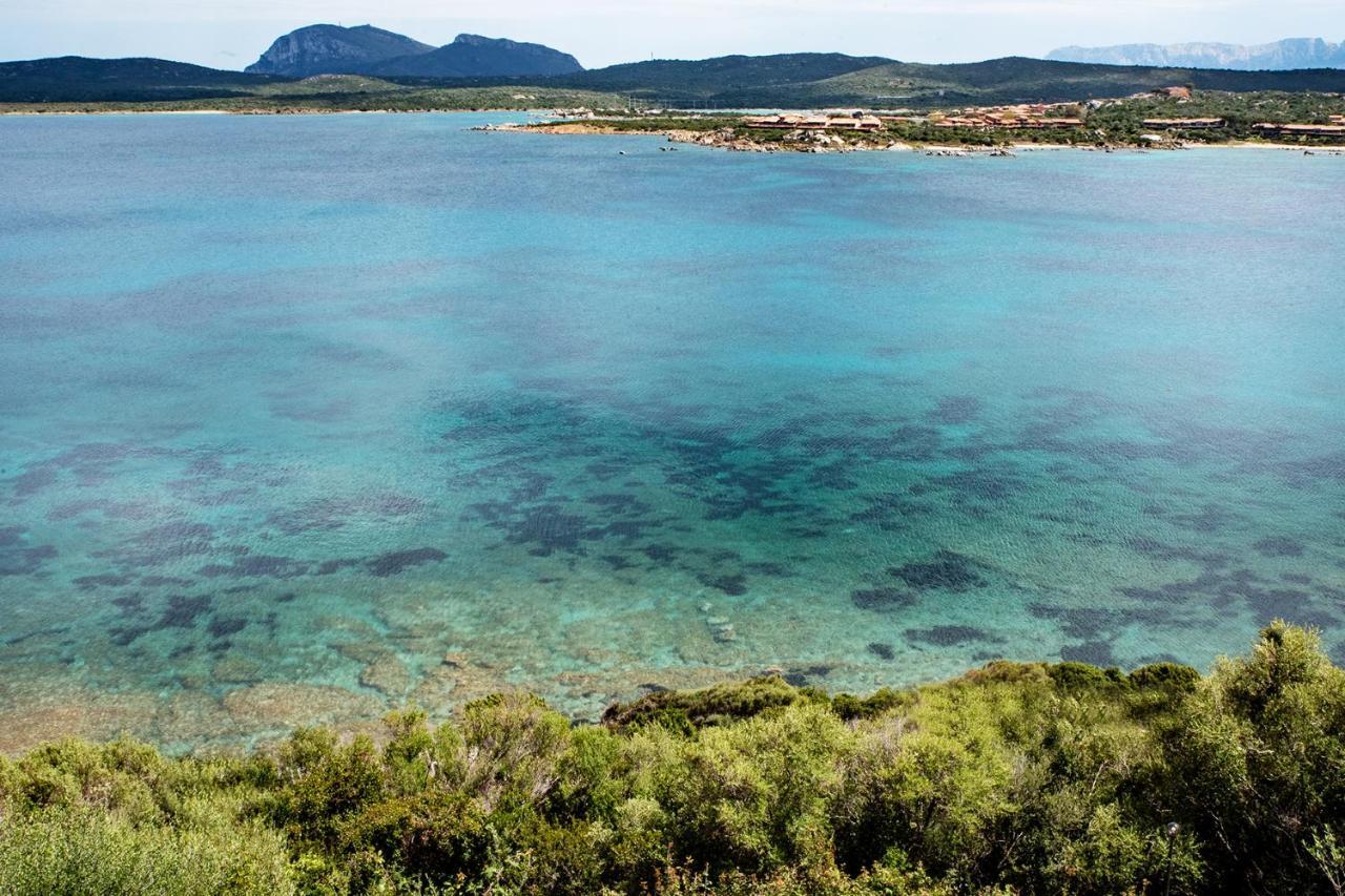 Apartament Casa Valery Wonderful Sea View Porto Rotondo Zewnętrze zdjęcie